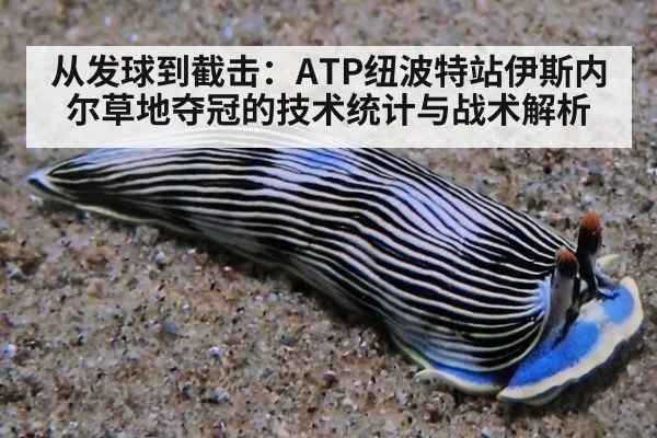从发球到截击：ATP纽波特站伊斯内尔草地夺冠的技术统计与战术解析