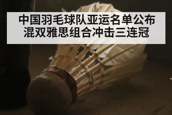 中国羽毛球队亚运名单公布 混双雅思组合冲击三连冠