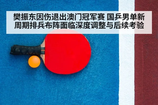 ping pong racket